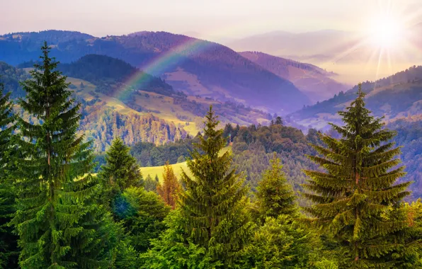 Picture trees, mountains, nature, rainbow, rainbow, trees, nature, the sun's rays, mountains, sunlight