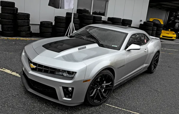 Picture camaro, muscle car, ZL1 2011