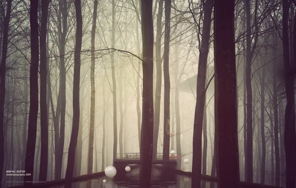 Picture forest, trees, bridge, fog, river, balls, construction, white, desktopography, desktopography