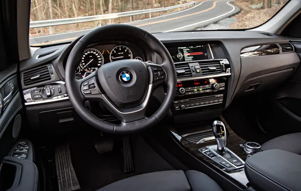 Picture BMW, interior, BMW, the wheel, salon, crossover, F25