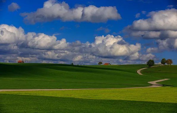 Picture road, field, the sky, grass, clouds, trees, hills, home