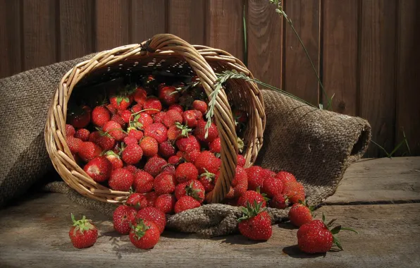 Picture berries, tree, strawberry, basket, basket, rospi
