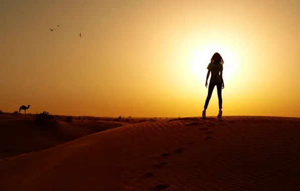 Picture girl, sunset, the dunes, desert, slim, silhouette, camel, photographer, Eugene Nadein