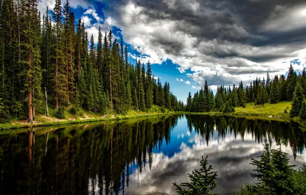Picture forest, summer, water, clouds, trees, lake, reflection