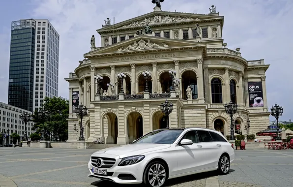 Picture Mercedes-Benz, Mercedes, Hybrid, hybrid, BlueTec, Estate, 2015, S205, Avantgarde, C 300