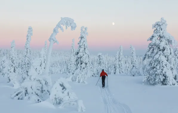 Picture sunset, snow, Finland, skiing, Winter Wonderland