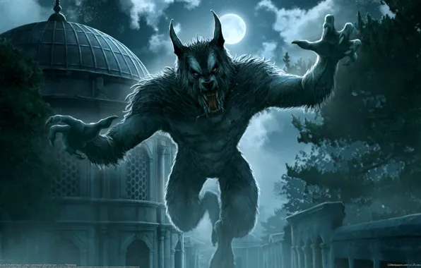 Picture night, the city, fantasy, Kerem Couplets, the full moon, werewolf