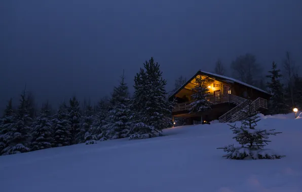 Picture winter, forest, snow, trees, night, nature, house, travel, tree, new year, house, house, hut, forest, …