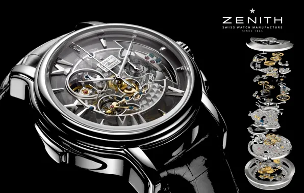 Picture watch, mechanism, Watch, Zenith
