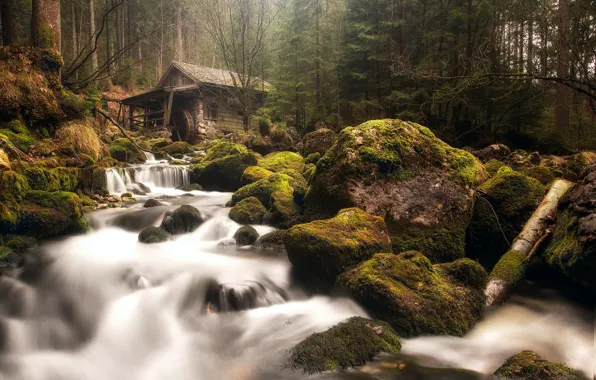 Picture forest, river, stones, moss, Austria, haze, waterfalls, water mill, threads, Golling an der Salzach