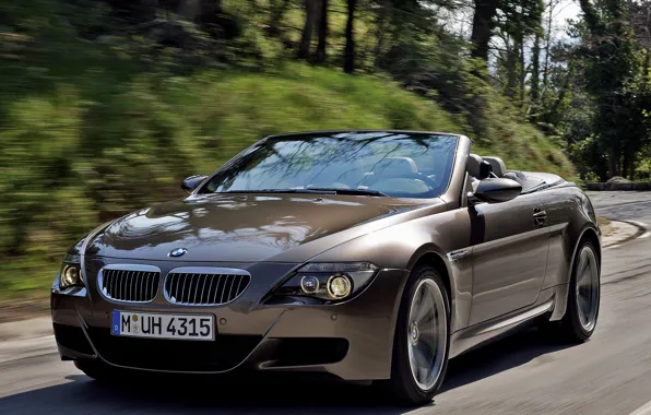Picture road, tuning, speed, blur, BMW, BMW, convertible, dynamics, 6 series