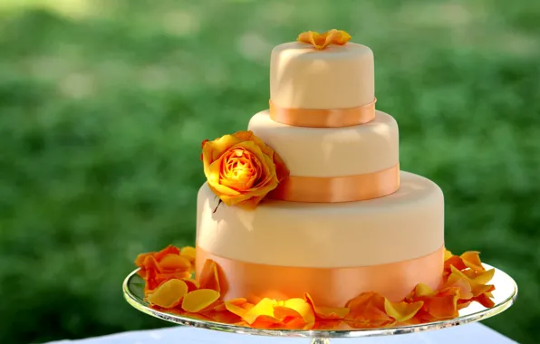 Picture flower, orange, yellow, rose, food, petals, large, tape, sweets, cake, dessert, ribbon, delicious