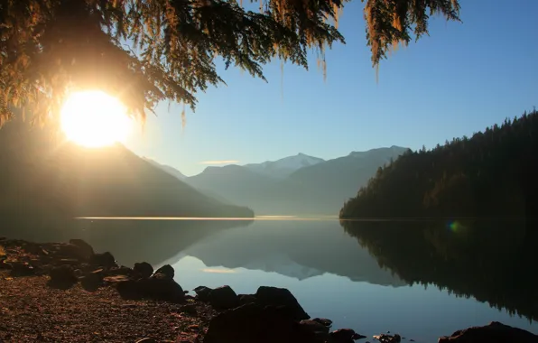 Picture forest, the sun, rays, mountains, lake, morning
