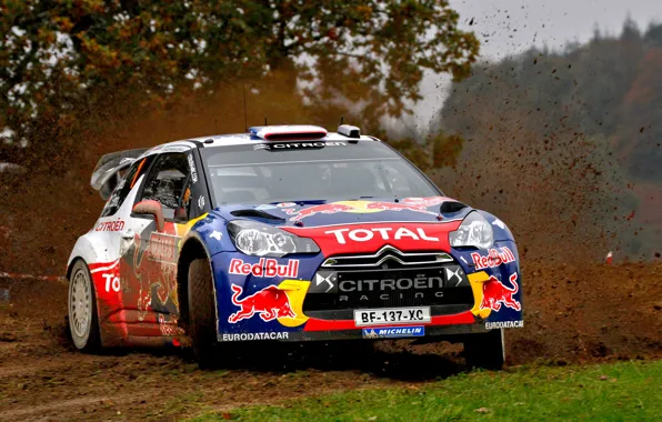 Picture rally, rally, Loeb, wrc, citroen, ds3, Wales, GB Wales