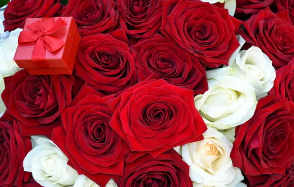 Picture flowers, roses, bouquet, red, box, offer