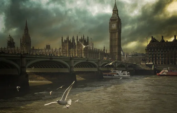 Picture birds, clouds, bridge, river, England, London, seagulls