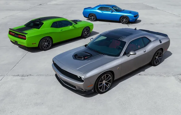 Picture Dodge, Challenger, auto, wallpapers, new, R/T, 2015