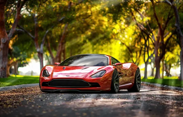 Picture Concept, Aston Martin, DBC