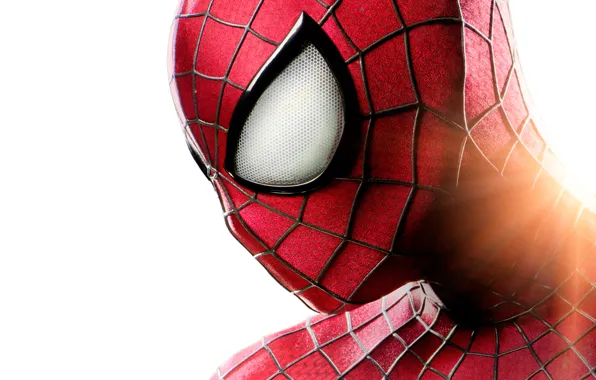 Picture spider-man, spider, marvel, spider-man, 2014, amazing spider man 2, the amazing spider-man 2