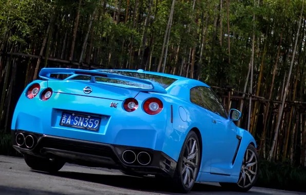 Picture Nissan, blue, gtr, bamboo, back, r35