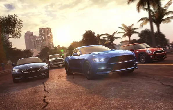 Picture palm trees, race, Mustang, Ford, Mini, Cooper, BMW, Ubisoft, Game, The Crew