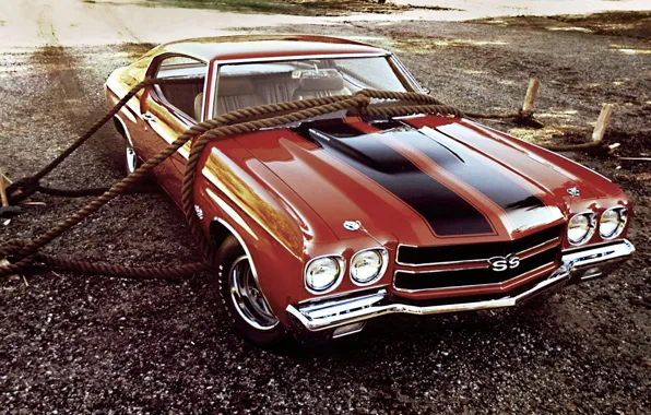 Picture Chevrolet, Chevrolet, ropes, Coupe, 1970, the front, 454, Chevelle, Muscle car, Hardtop, Muscle car, Sevil