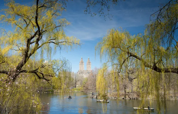 Picture the sky, trees, pond, people, boat, home, spring, New York, USA, Central Park