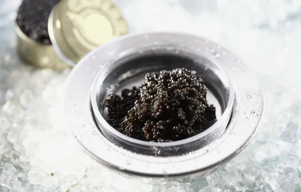 Picture ice, macro, black, caviar, delicious, vase caviar, dumb-dumb.