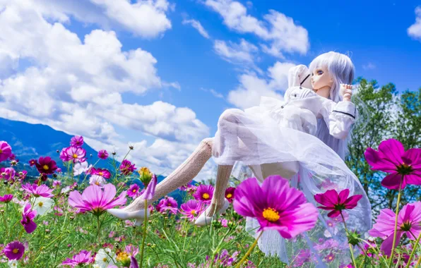 Picture clouds, flowers, mood, toy, doll, meadow, kosmeya