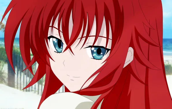 Picture Female, Single, Highschool DxD, Rias Gremory