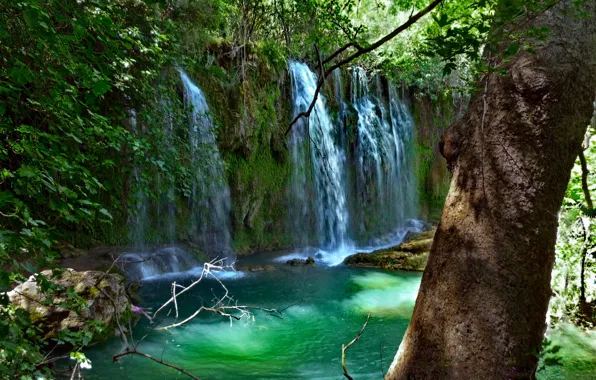 Picture greens, leaves, water, branches, stones, tree, waterfall, moss, Turkey, Antalya, Kurşunlu, Kursunlu Waterfall Nature Park