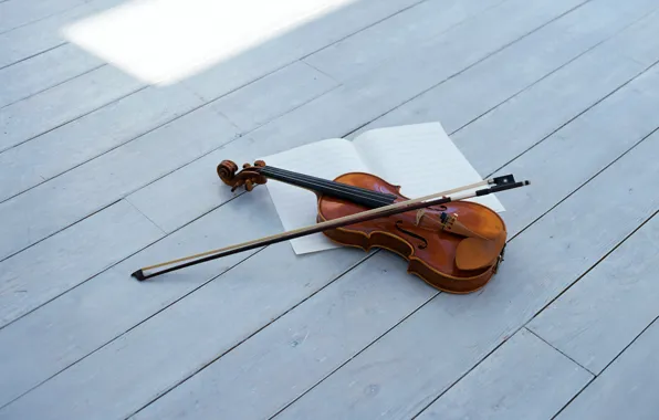Picture violin, bow, violin, string musical instrument, string musical instrument, bow