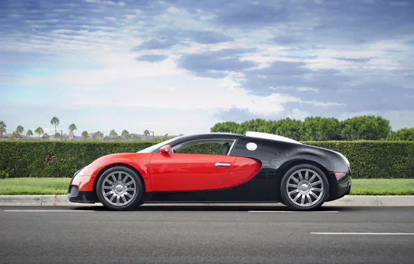 Picture Bugatti, Grand, Veyron, red, black, Sport