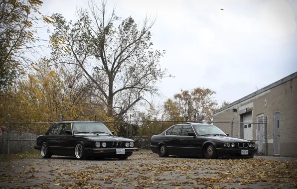 Picture autumn, leaves, tuning, BMW, BMW, drives, classic, tuning, autumn, E34, stance, E28