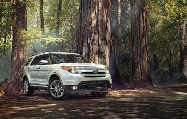 Picture Ford, Forest, Ford, SUV, Sport, Explorer
