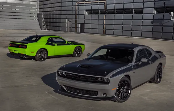 Picture Dodge, Challenger, cars, cars, auto, wallpapers, T/A, T/A 392
