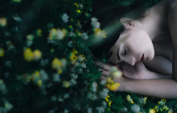 Picture grass, girl, flowers, stay, sleep, makeup