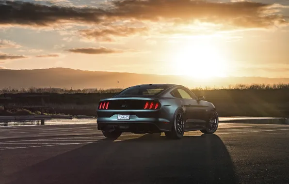 Picture Mustang, Ford, Muscle, Car, Sunset, Wheels, Rear, 2015, Velgen, Beam