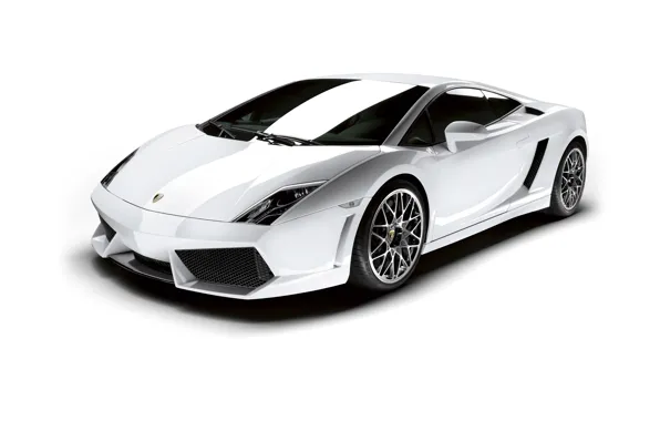 Picture Lamborghini, white background, Gallardo, Lamborghini, Gallardo