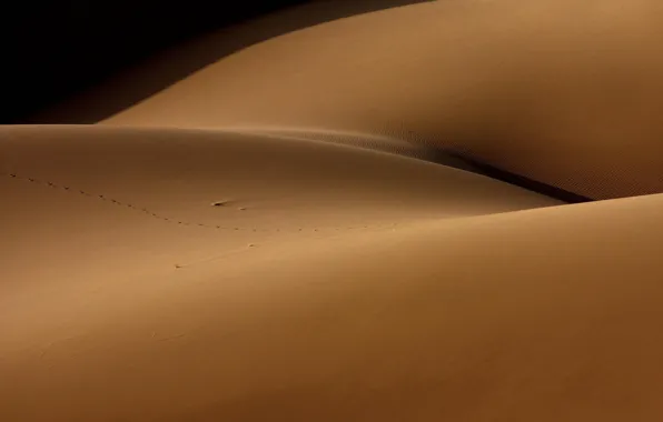 Picture sand, desert, Desert and the human torso