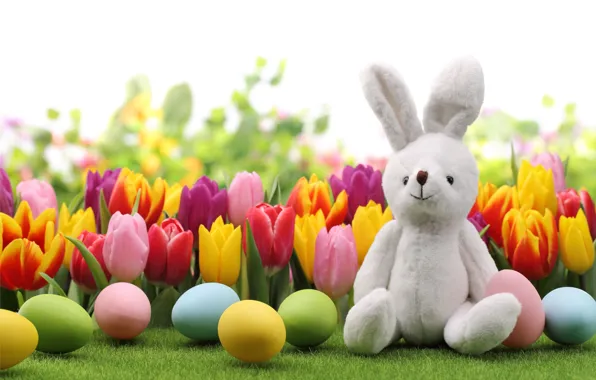 Picture eggs, rabbit, Easter, tulips, flowers, tulips, spring, Easter, eggs, bunny