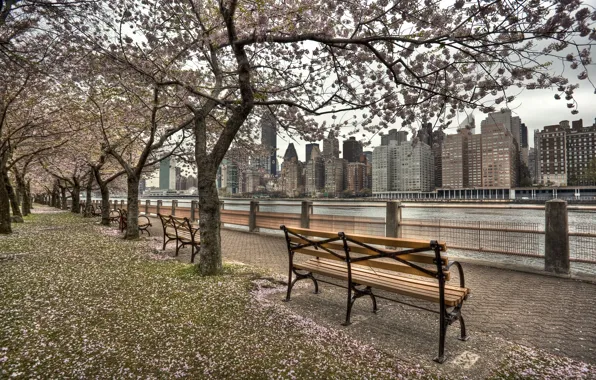Picture beach, the city, river, spring, promenade, New York, Roosevelt Island