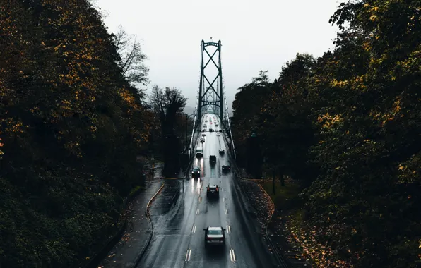 Picture road, autumn, trees, machine, bridge, the city, wet