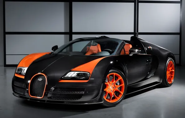 Picture Roadster, Bugatti, Veyron, supercar, the front, walls, Grand Sport, Vitesse, WRC Edition