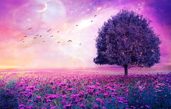 violet-birds-tree.jpg