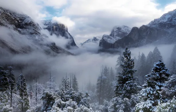 Picture winter, forest, clouds, snow, trees, mountains, nature, fog, CA, USA, USA, Yosemite, Yosemite National Park