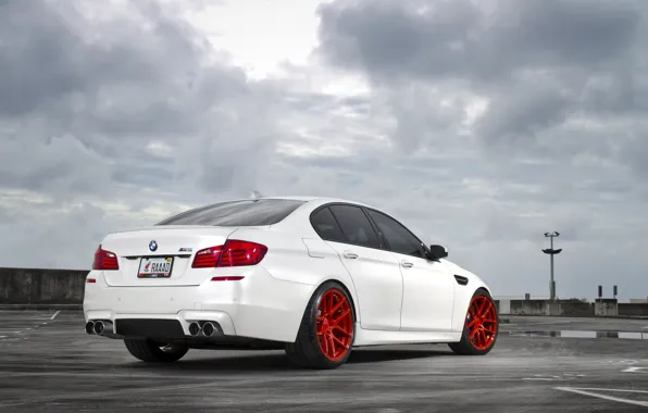 Picture white, the sky, clouds, BMW, BMW, white, back, f10