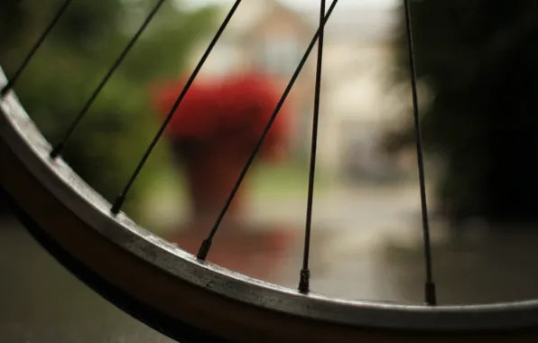 Picture macro, bike, wheel, spokes, bicycle, macro, bokeh, bokeh effect, 2560x1600, wheel