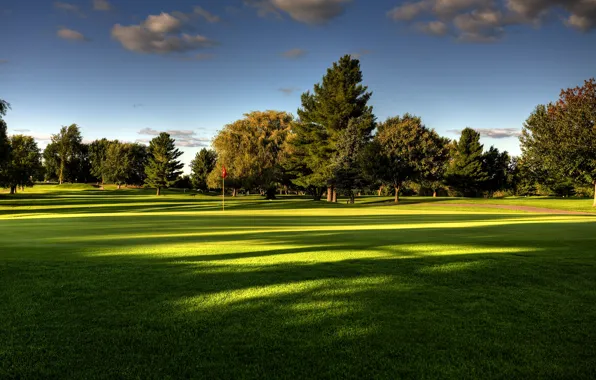 Picture summer, the sky, grass, trees, nature, Golf course