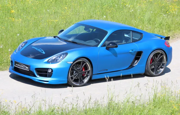 Picture car, machine, Porsche, Cayman, blue, tuning, SpeedART, SP81-CR